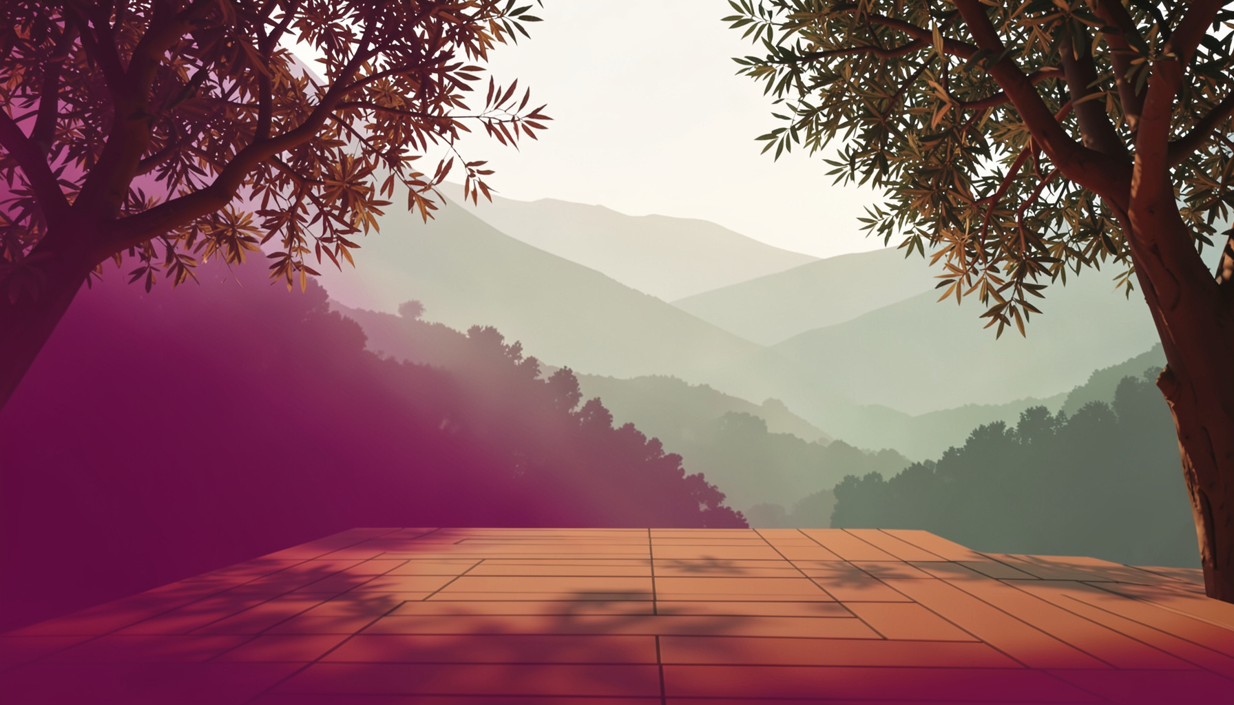 Soft morning light through olive trees onto a simple outdoor yoga deck
